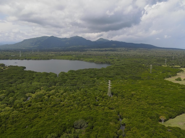 Aerial view of West Bali National Park in Indonesia