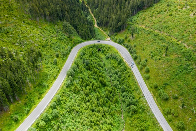 Aerial view of winding road in the forest