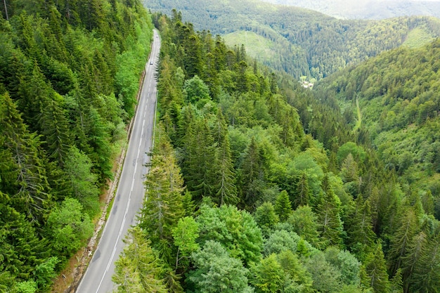 Aerial view of winding road in the forest