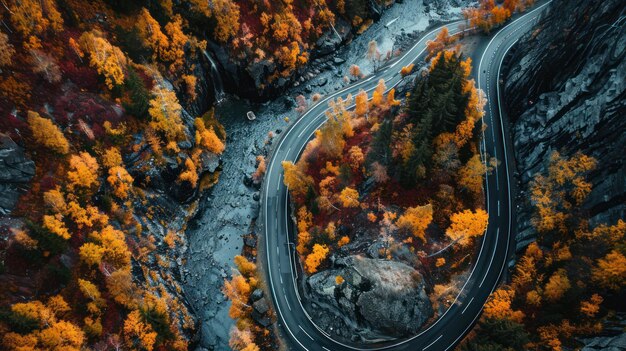 Aerial View of Winding Road Through Autumn Forest