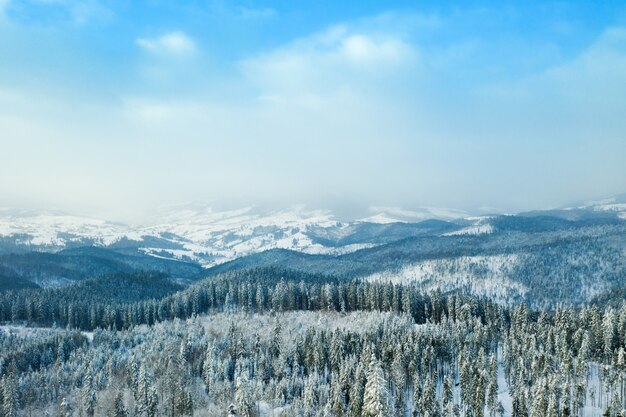 Aerial view of  Winter forest and the road. Winter landscape