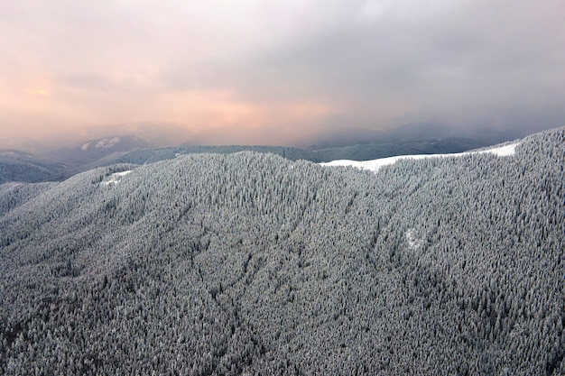 Aerial view of winter landscape with mountain hills covered with evergreen pine forest after heavy snowfall on cold quiet evening.