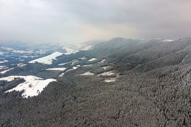 Aerial view of winter landscape with mountain hills covered with evergreen pine forest after heavy snowfall on cold quiet evening.