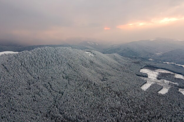 Aerial view of winter landscape with mountain hills covered with evergreen pine forest after heavy snowfall on cold quiet evening.