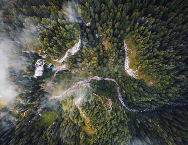 Photo aerial views with the deep forests covering the carpathians romania