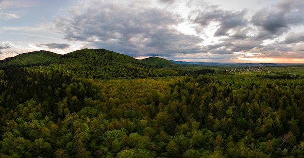 Aerial wide panoramic view of dark mountain hills covered with green mixed pine and lush forest in evening