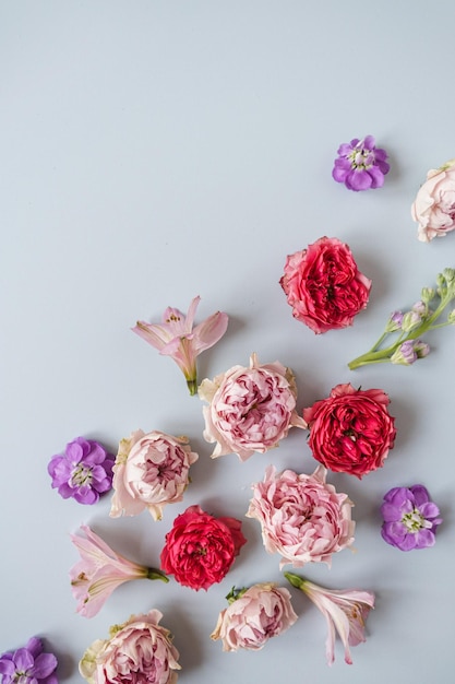 Aesthetic background with colourful rose flowers on blue background Beautiful floral composition