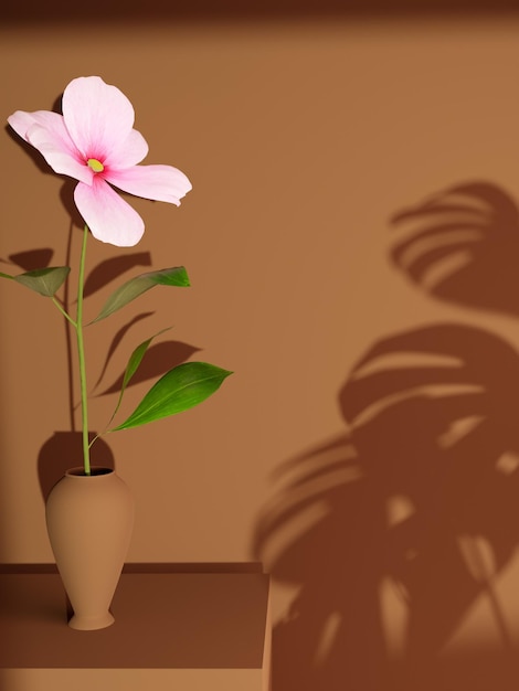 Aesthetic cosmos flower indoor scene with silhouette shadow 3D render