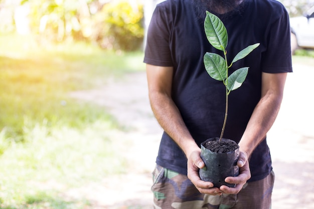 Afforest for make a green forest