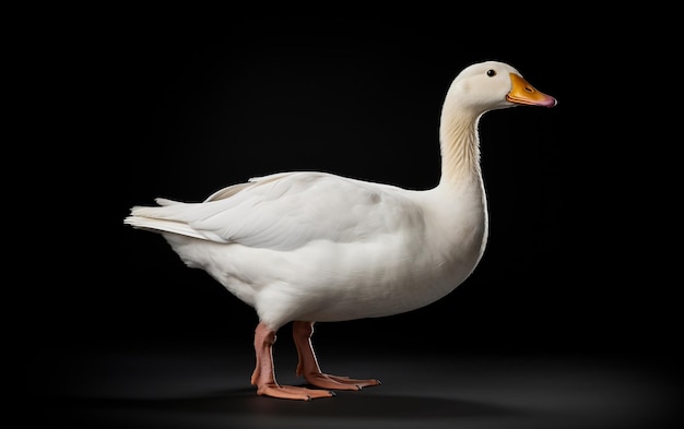 Aflac Duck in Advertising Photography Generative AI