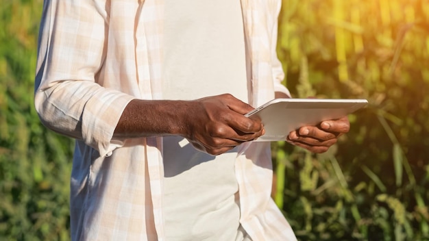 African american agronomist searches data on corn via tablet