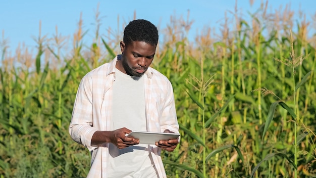 African american man walks past field examining plantation