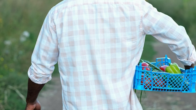 African american man walks on path carrying vegetables