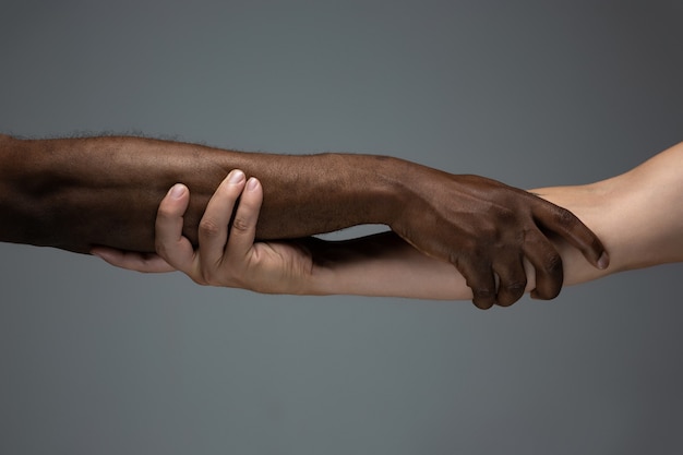 African and caucasian hands gesturing on gray studio background