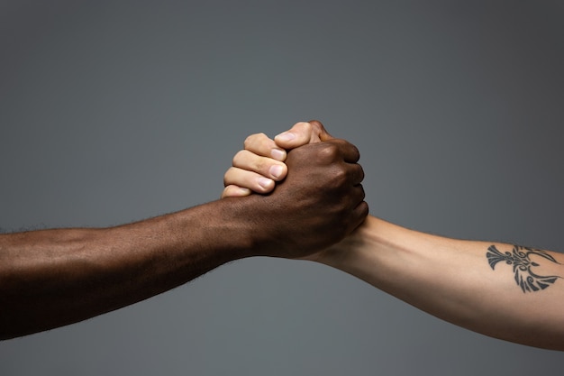 African and caucasian hands gesturing on gray studio background