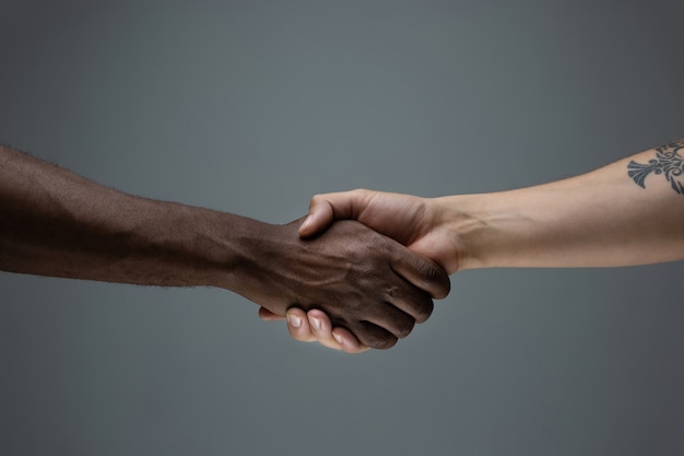 African and caucasian hands gesturing on gray studio background