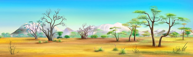 African landscape on a hot day illustration