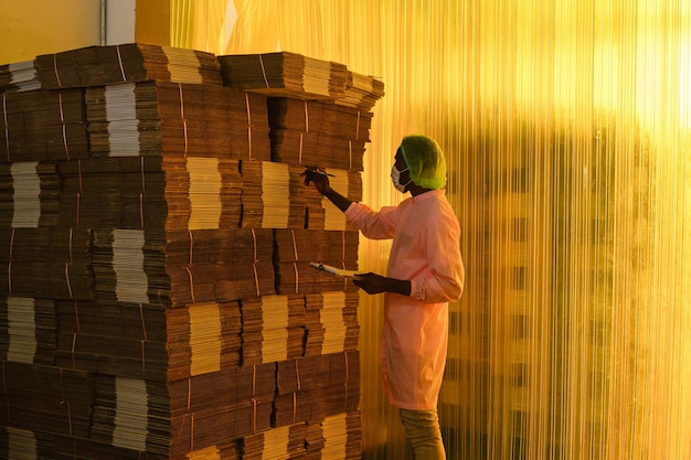 African male employee in sterile uniform checking with clipboard at stacked cardboard package stock in shipping warehouse at manufacturing factory