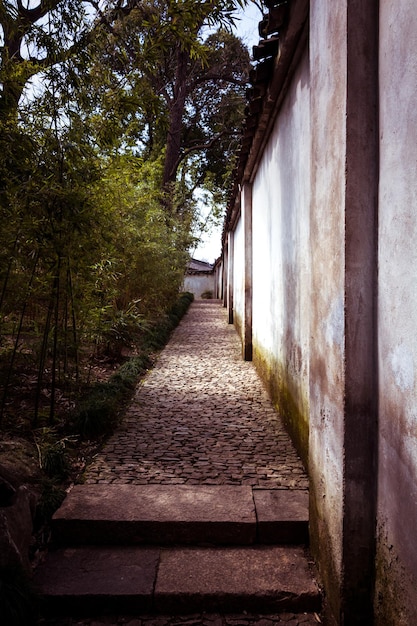 African tulip tree reddishorange flowers laying on the cobblestone path between two walls with green trees and shrubs