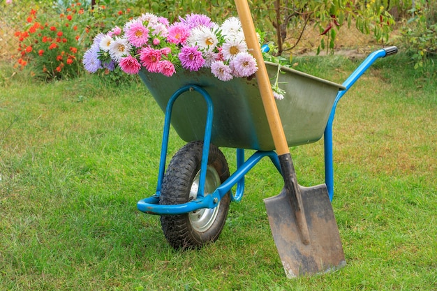 After work in summer garden. Wheelbarrow with cutted out flowers and spade on green grass.