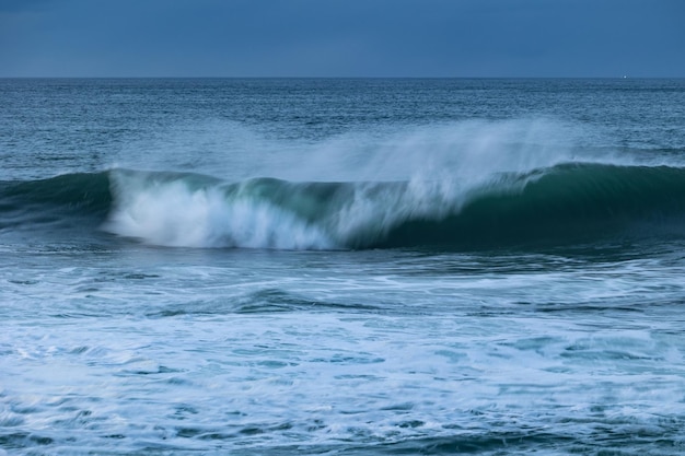 An afternoon on the Cantabrian coast with landscapes, fauna and waves!