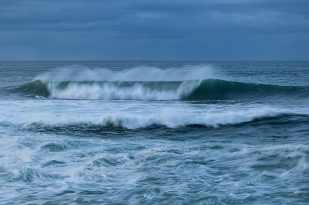 An afternoon on the Cantabrian coast with landscapes, fauna and waves!