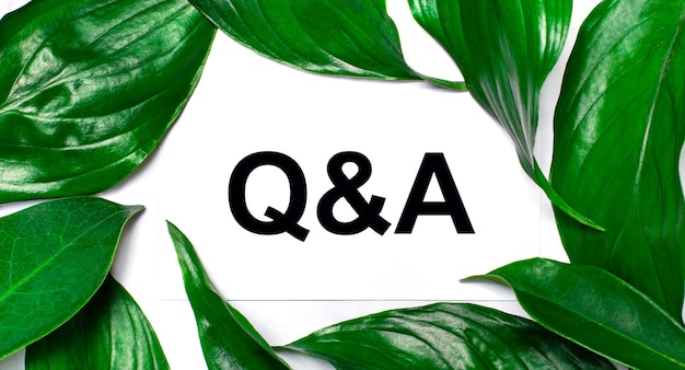 Against the background of green natural leaves a white card with the text Q AND A