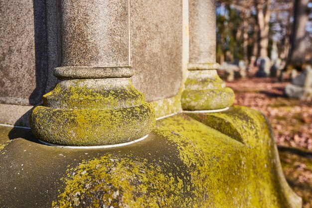 Aged Classical Columns with Lichen in Cemetery CloseUp View