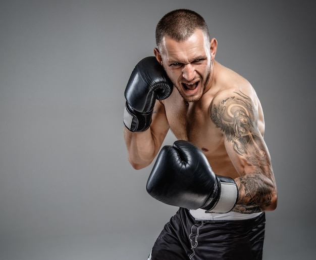 Agressive tattooed fighter isolated on a grey background.