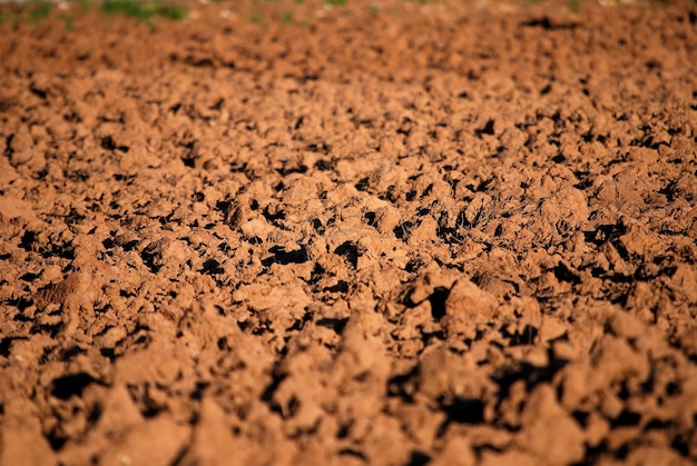 agricultural background