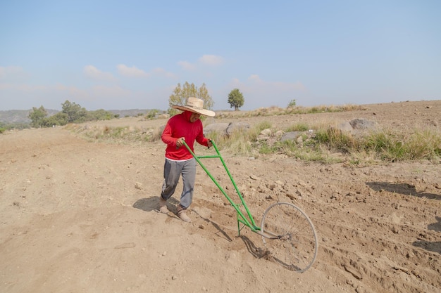 Agricultural Craftsmanship Masterful Farmer Planting Onions with Skill