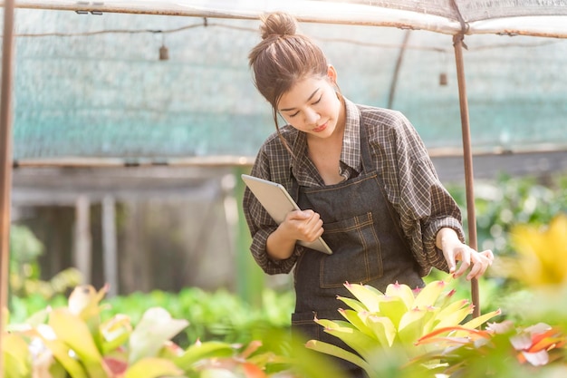 Agricultural farmer owner using tablet computers to analyze data and quality check