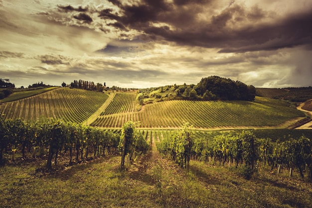 Agricultural field against sky during sunset