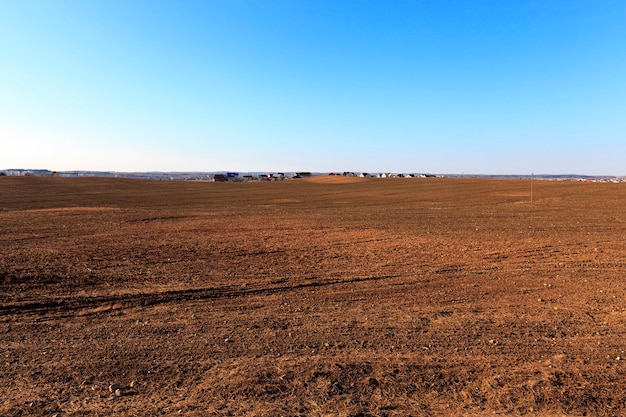 Agricultural field with cereal - agricultural field where a farmer grows cereals. field of wheat