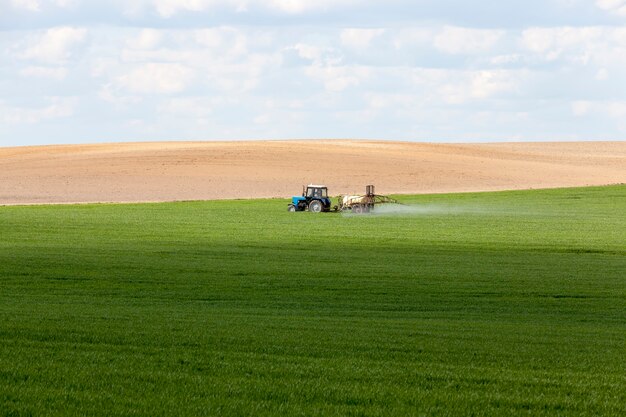 Agricultural field