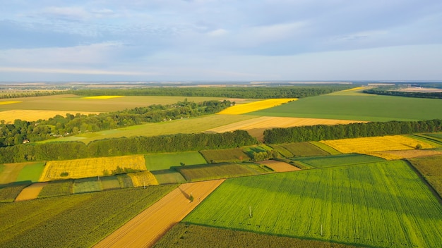 Agricultural fields in the countryside