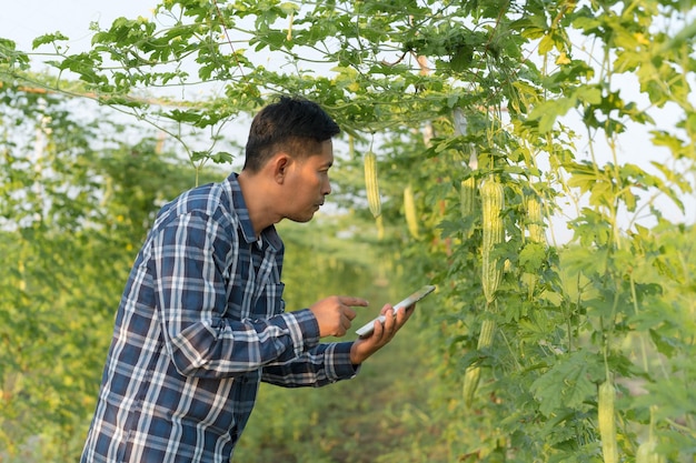 Agricultural Research Officer