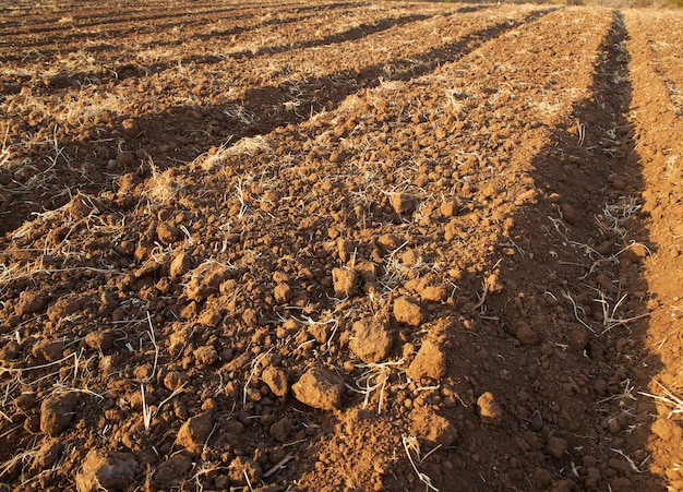 Agricultural soil preparation for cultivation.