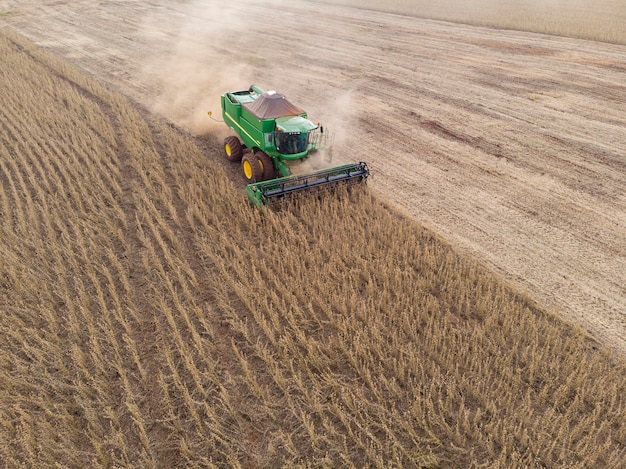 Agricultural tractor harvesting soybeans in the field.