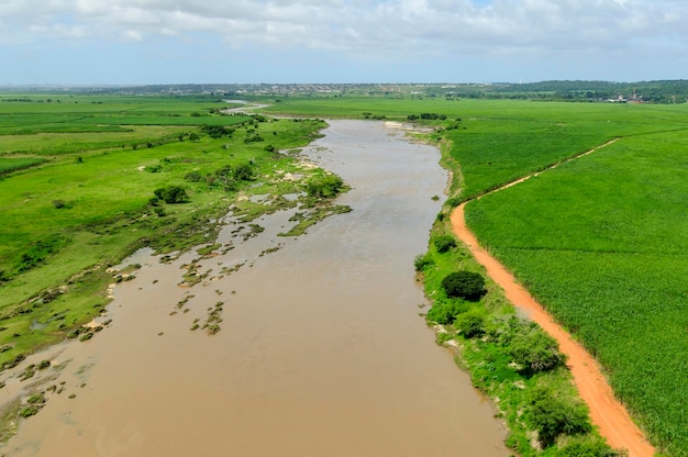 Agriculture advances and clears the riparian forest of the Paraiba River in Sobrado Paraiba Brazil