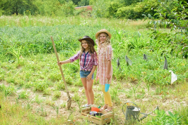 Agriculture concept Sisters together helping at farm Planting vegetables Growing vegetables Hope for nice harvest Girls planting plants Rustic children working in garden Planting and watering