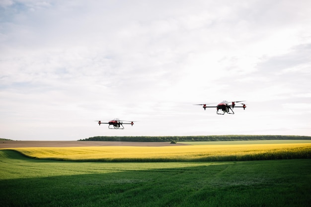 Agriculture drone flying on the green tea field at sunrise