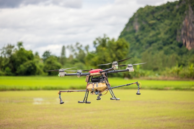 Agriculture drones fly over rice fields sprinkling fertilizer, High-resolution photographs of industrial drones spraying chemicals on rice paddies and fields