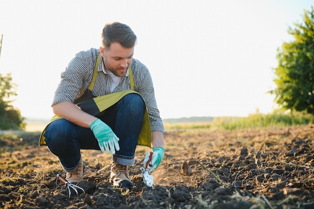 Agriculture farmer with a shovel in the field business soil sun natural roducts harvest