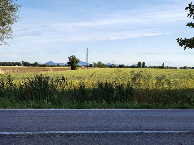 Agriculture field and street during sunset time in Italy