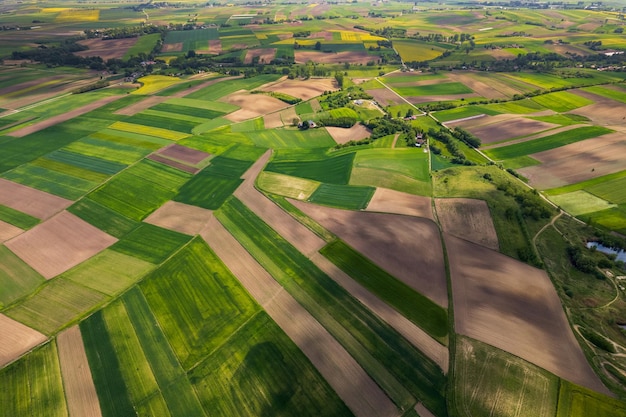 Agriculture Fields Paterns in Rural Countryside Aerial Drone View