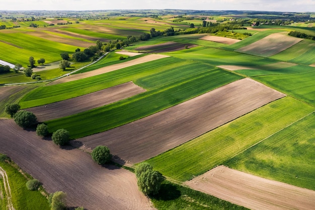 Agriculture Fields Paterns in Rural Countryside Aerial Drone View