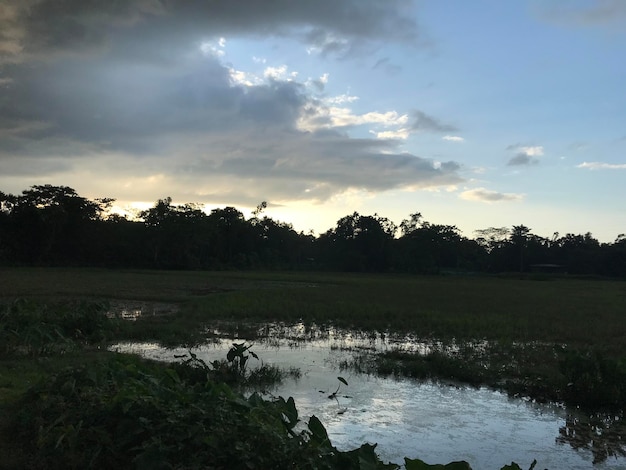 Photo agriculture land with dramatic sky