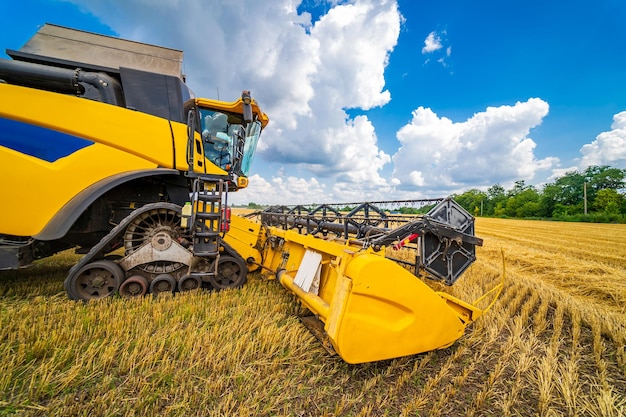 Agriculture machine harvesting crop in fields Special technic in action Agricultural technic in field Heavy machinery Blue sky above field