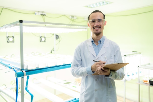 Agriculture scientist working to research a green vegetable plant in a field of biology laboratory biotechnology is a technology botany experiment of nature ecology organic greenhouse farming growth